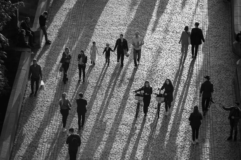 Mindful Walking Image